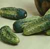 v_cucumbercalypso.jpg